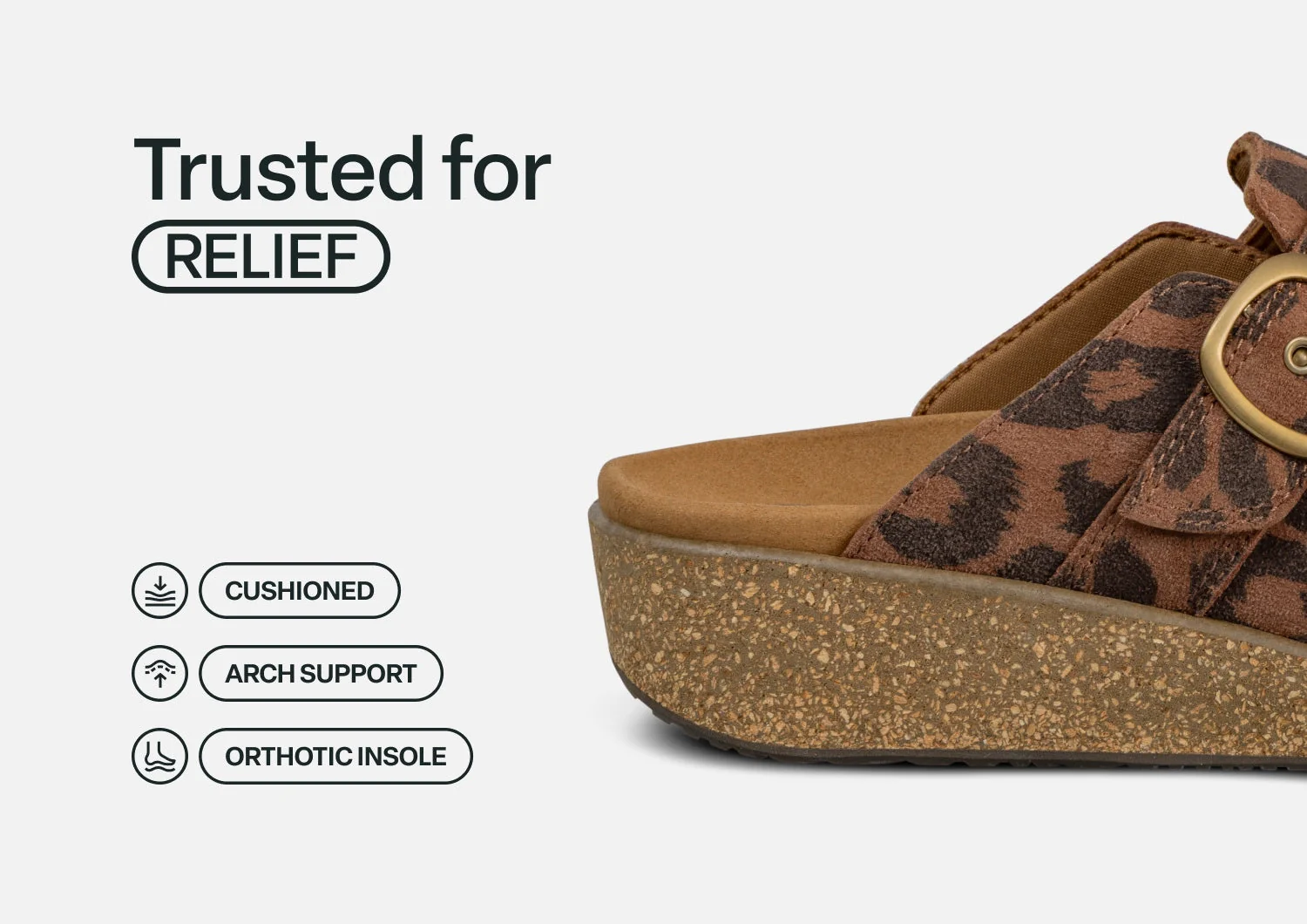 Casey - Leopard - Image 5